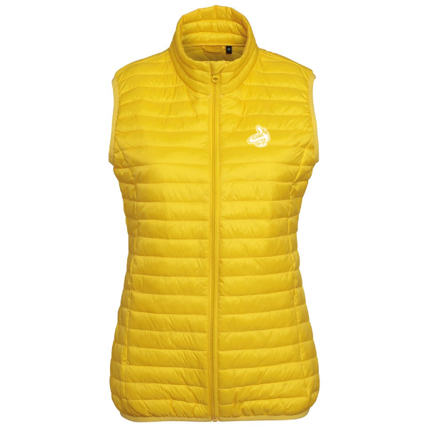 
                      
                        Athletic Apparatus Women’s tribe fineline padded gilet - Athletic Apparatus
                      
                    