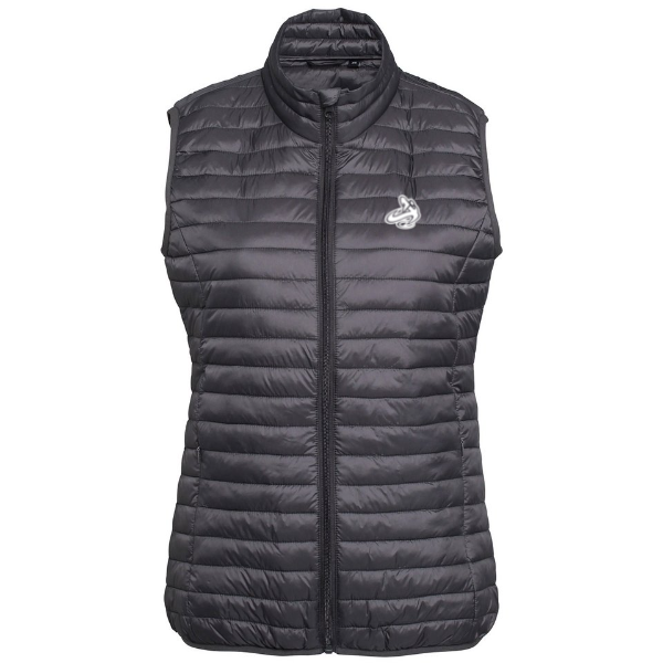 
                      
                        Athletic Apparatus Women’s tribe fineline padded gilet - Athletic Apparatus
                      
                    