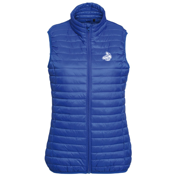 
                      
                        Athletic Apparatus Women’s tribe fineline padded gilet - Athletic Apparatus
                      
                    