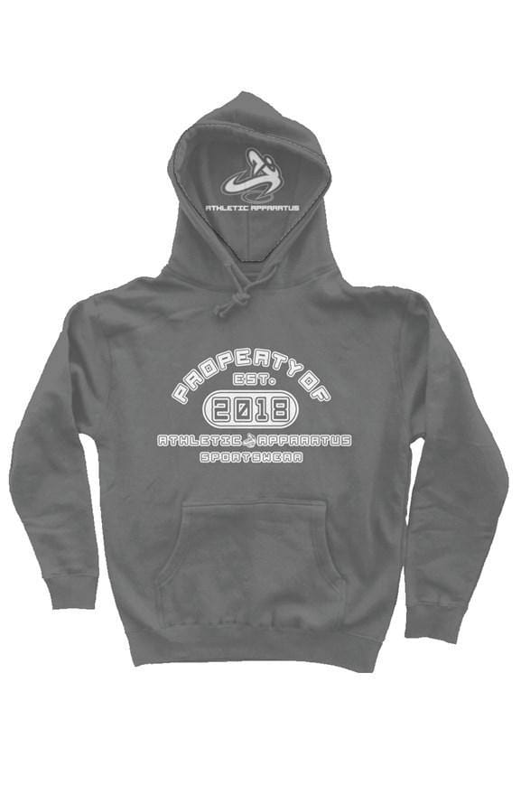 athletic apparatus Charcoal HD2 heavyweight pullover Hoodie - Athletic Apparatus