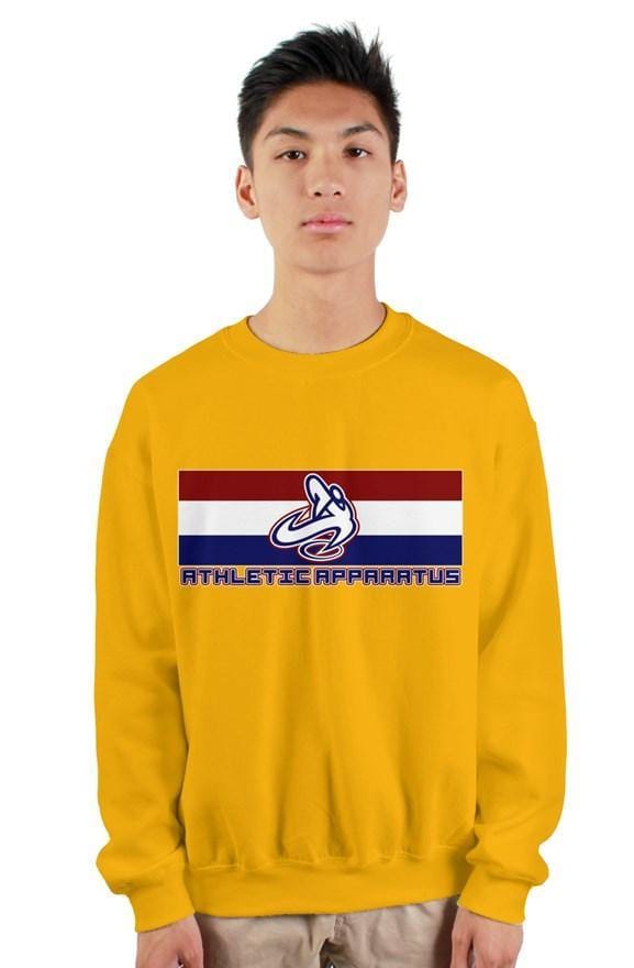 
                      
                        Youth Gold rwb logo gildan heavy crewneck sweatshi - Athletic Apparatus
                      
                    