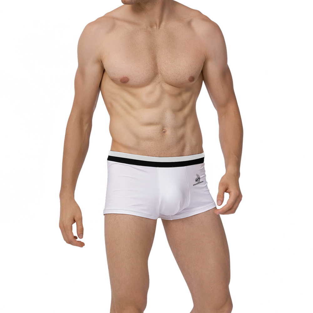 
                      
                        Athletic Apparatus Men’s Modern Eco Trunk|style00 - Athletic Apparatus
                      
                    